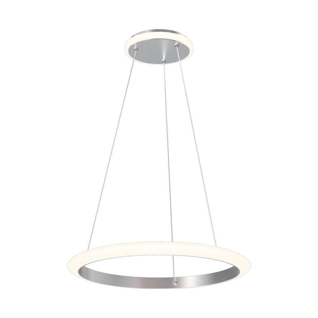 Lustra suspendata Newa 11677