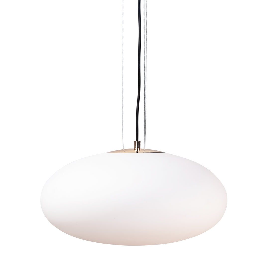 Lustra suspendata Omi 1181