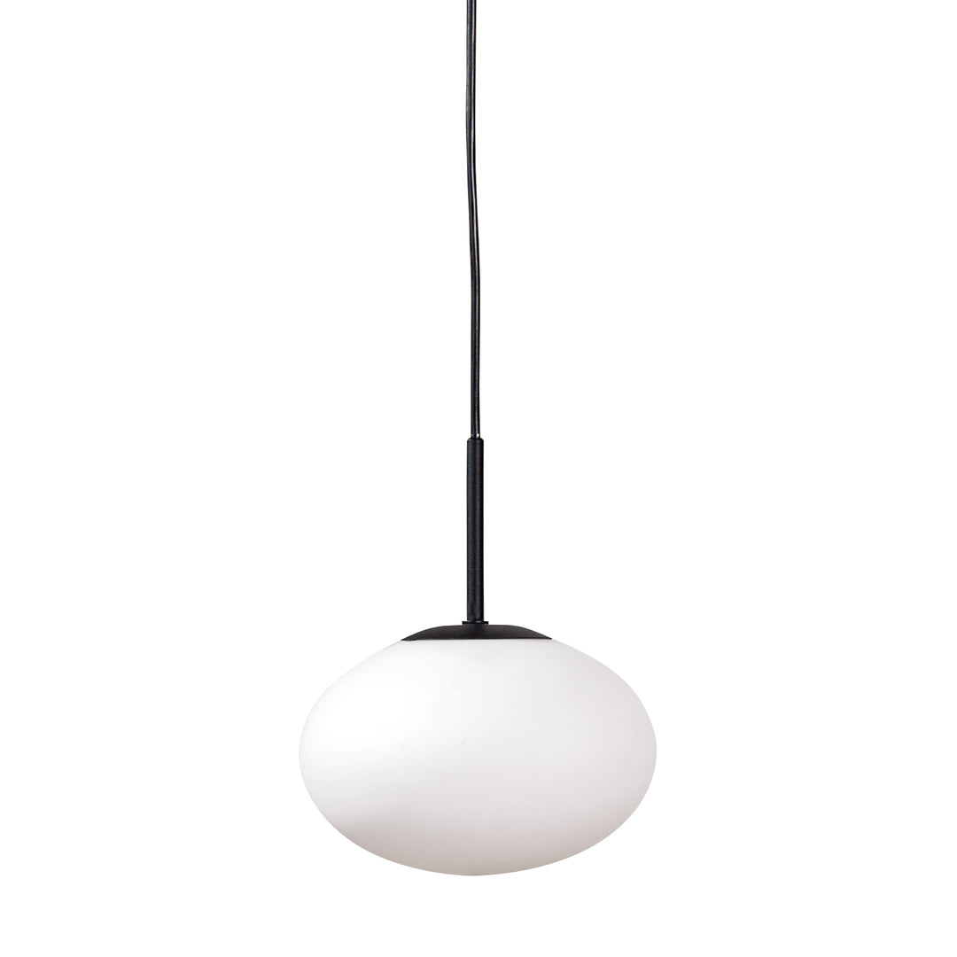 Lustra suspendata Omi 1182