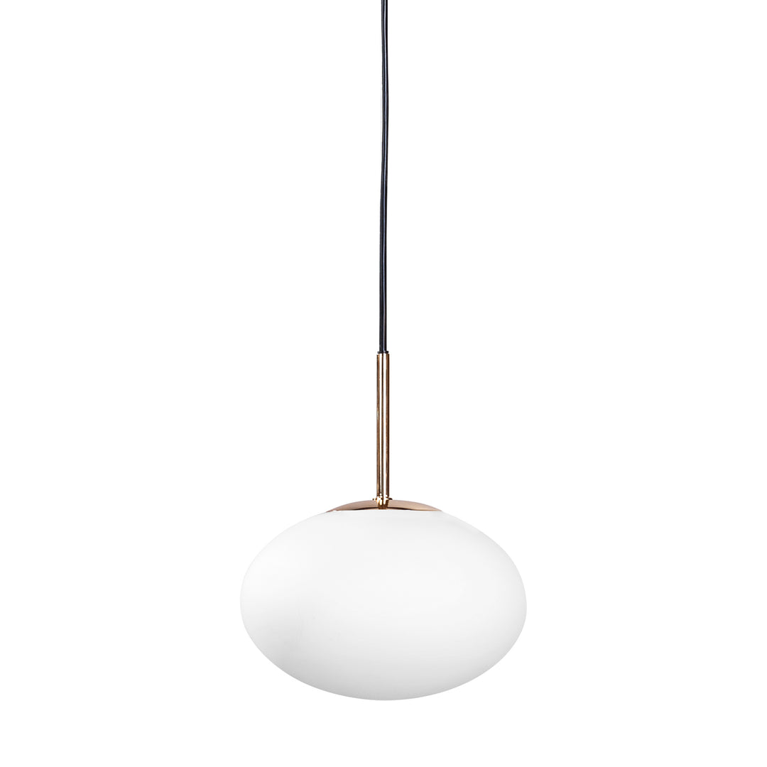 Lustra suspendata Omi 1183