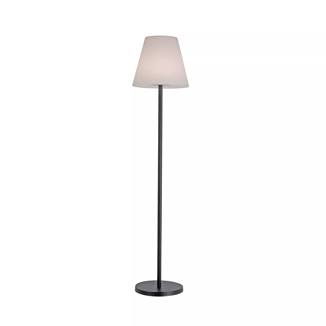 Lampadar Holly 19826-18