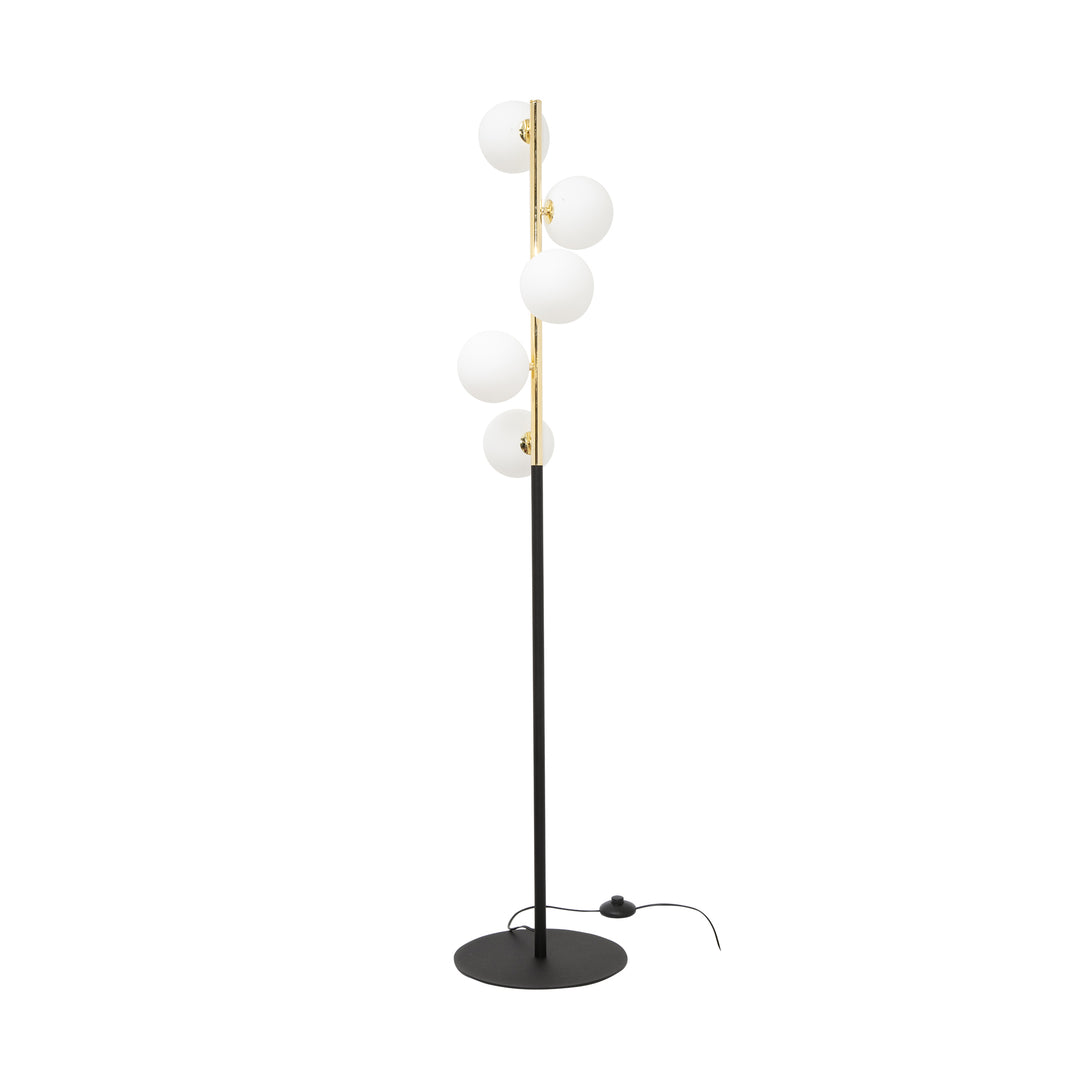 Lampadar Ali 5649