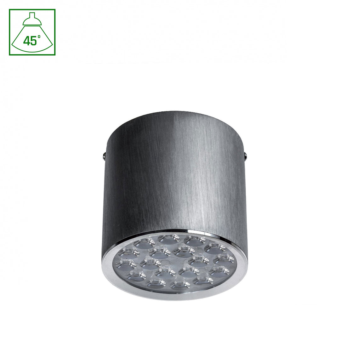 Spot aplicat CHLOE 18LED 230V 18W IP20 45DEG CW CEILING