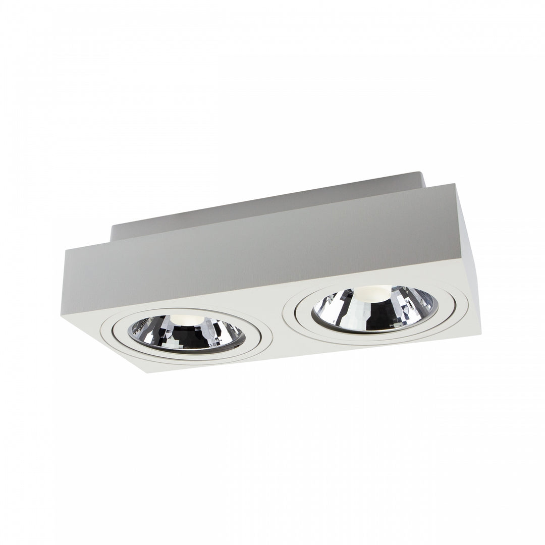 Spot aplicat MIRORA AR111 X2 SURFACE GU10 Ajustabil