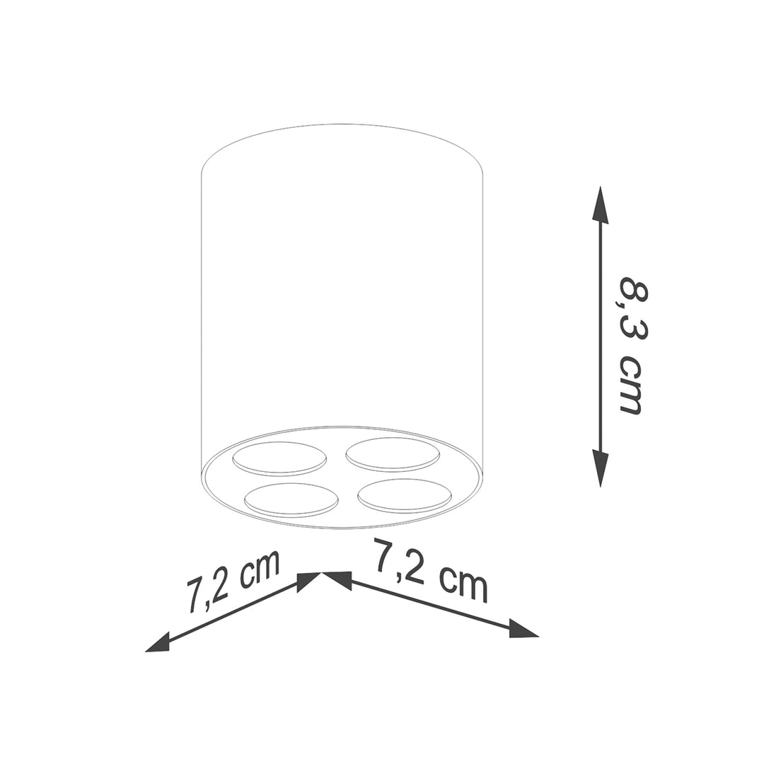 Plafoniera ZOE LED alb SL.1209