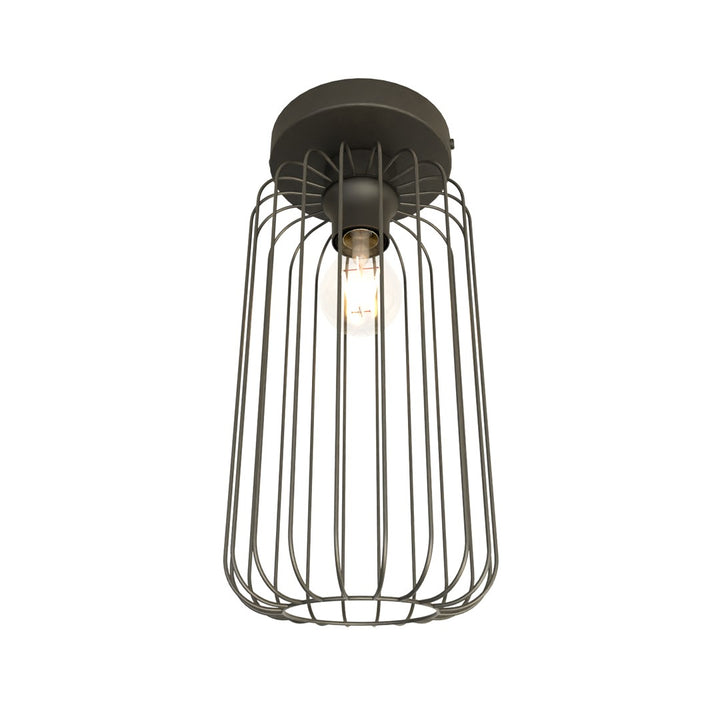 Plafoniera BARN 1 neagra