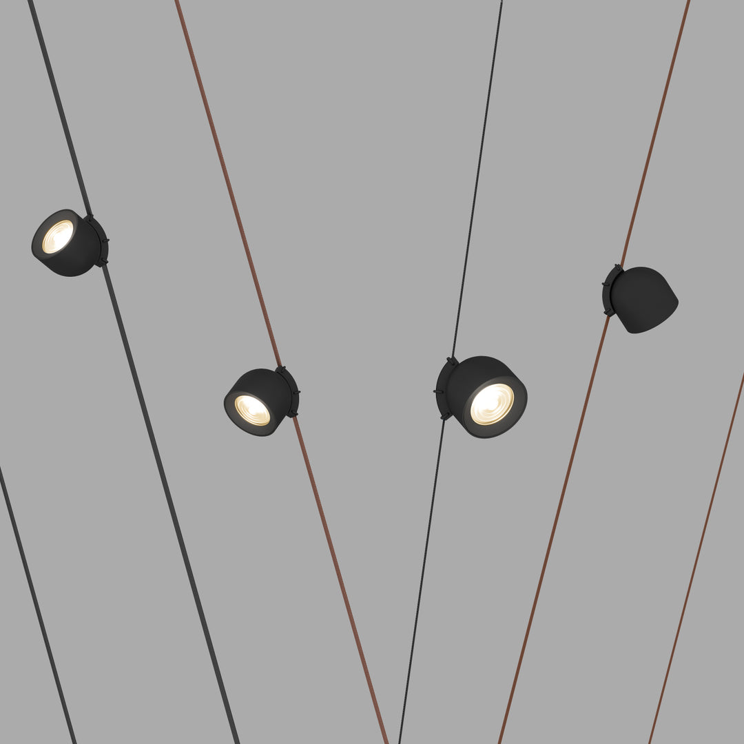 Spot LED negru Belty Spot 12W 3000K