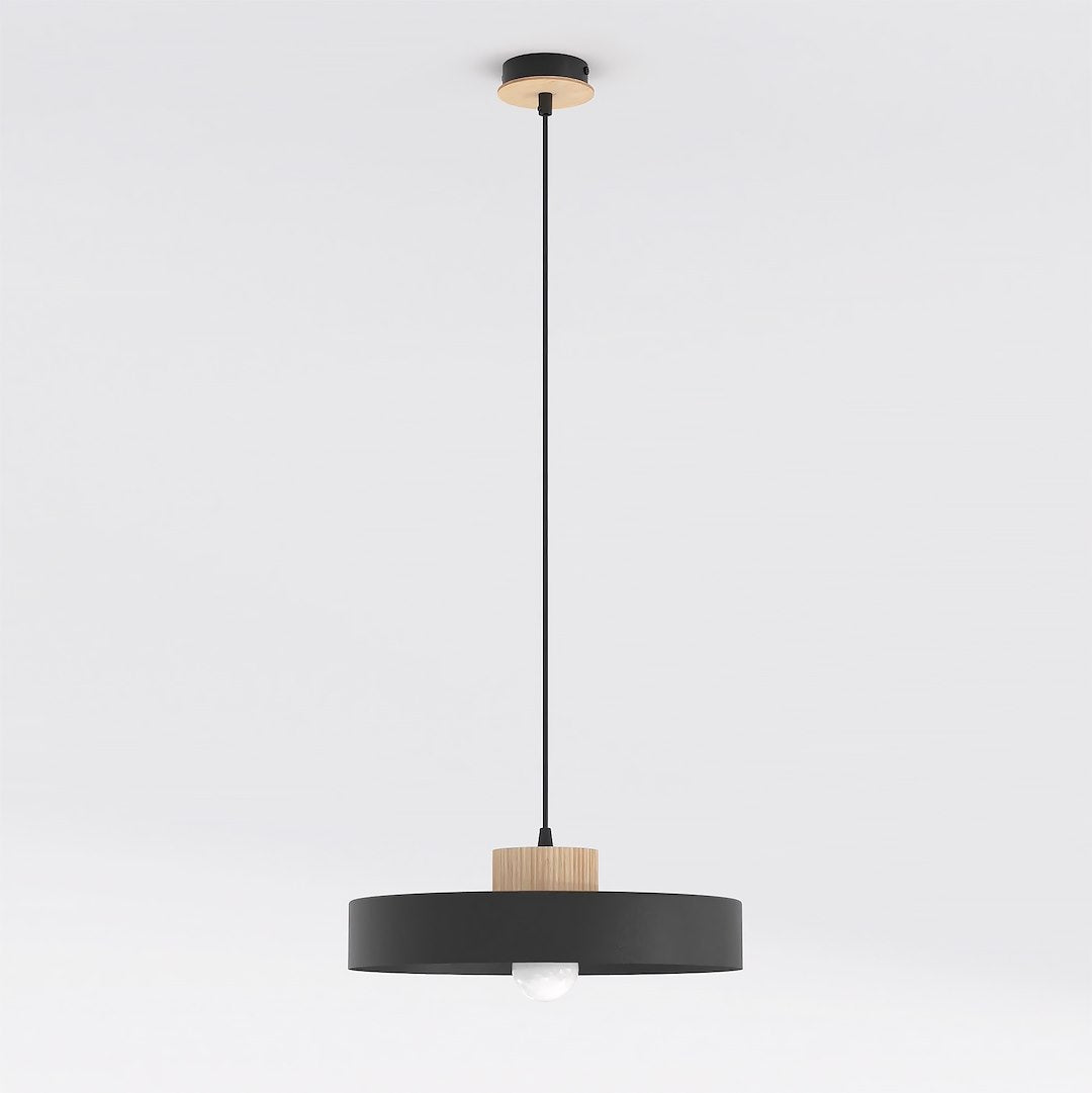 Lustra suspendata KIVI 1L negru