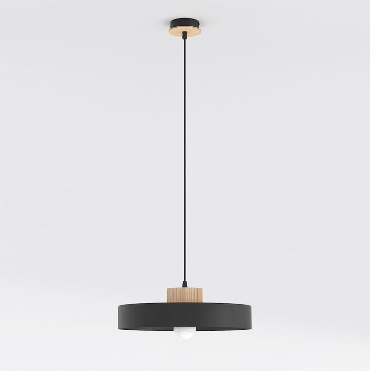 Lustra suspendata KIVI 1L negru