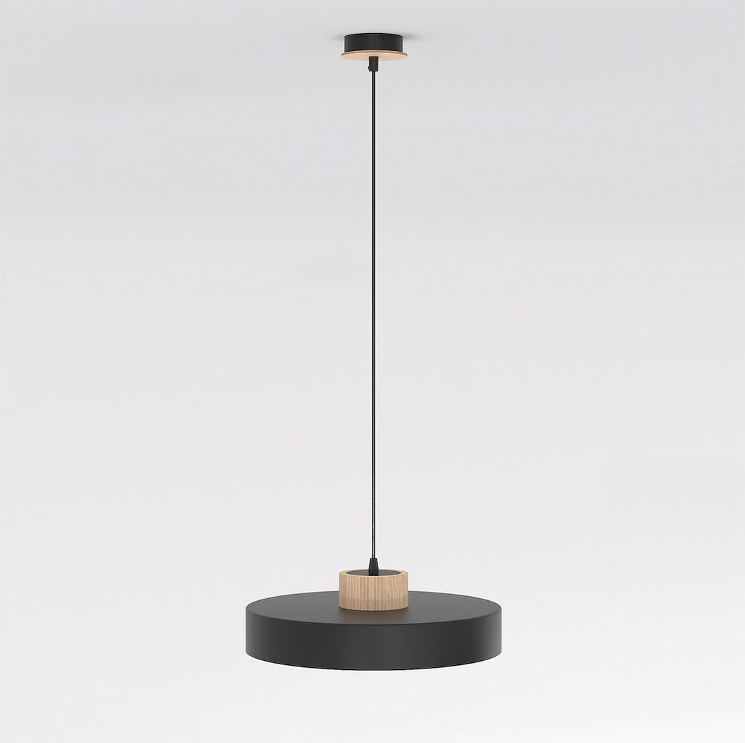 Lustra suspendata KIVI 1L negru