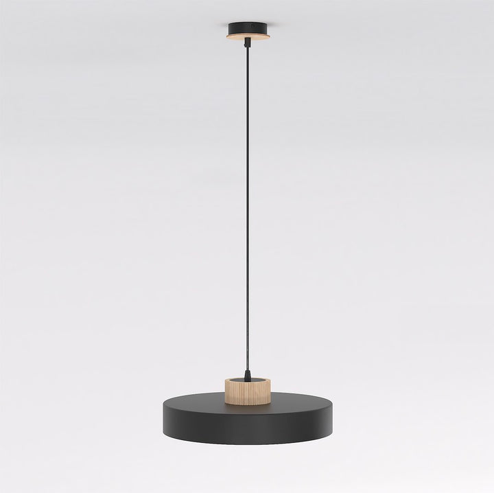 Lustra suspendata KIVI 1L negru
