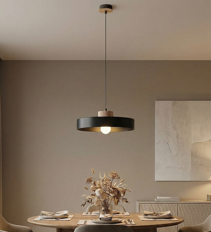 Lustra suspendata KIVI 1L negru