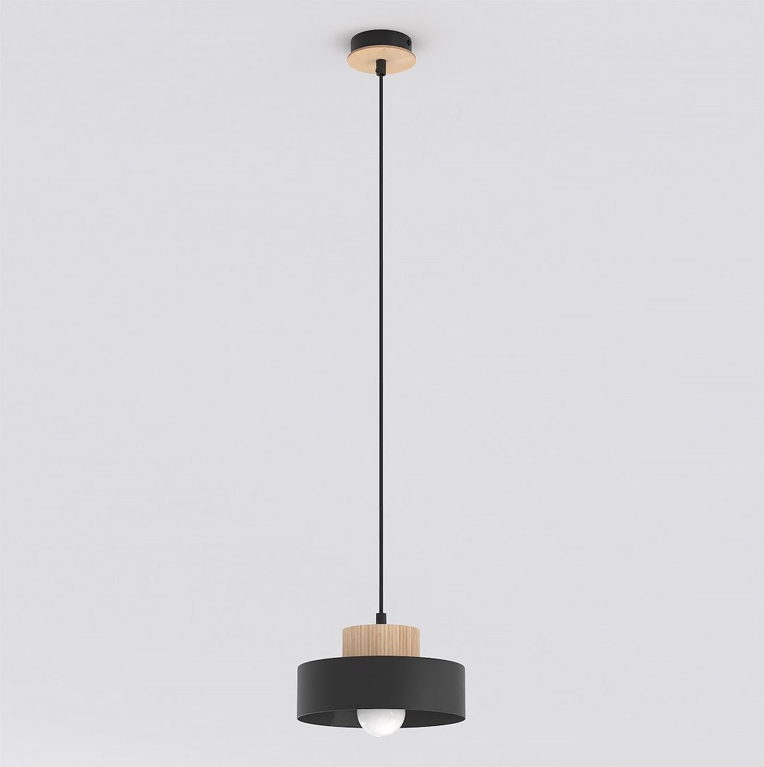 Lustra suspendata KIVI 1S negru