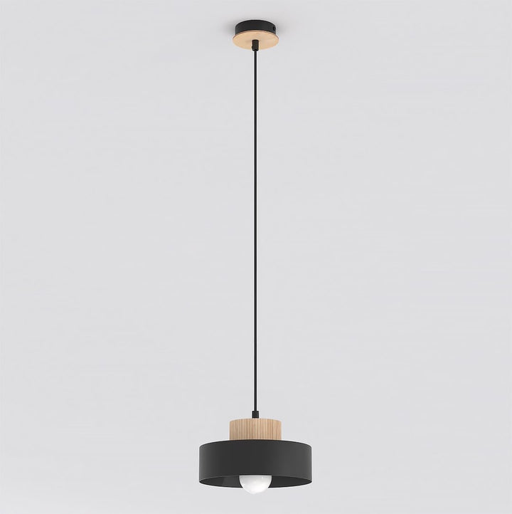 Lustra suspendata KIVI 1S negru