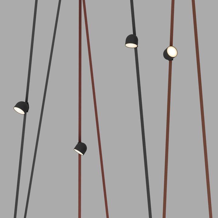 Spot negru LED Belty Spot 12W 3000K