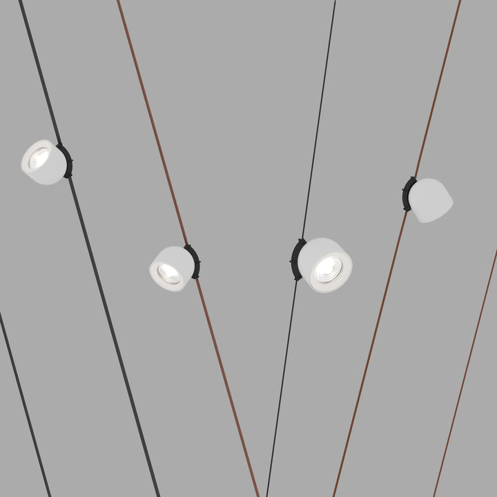 Spot alb pe șină Belty Spot 12W 4000K Cree led