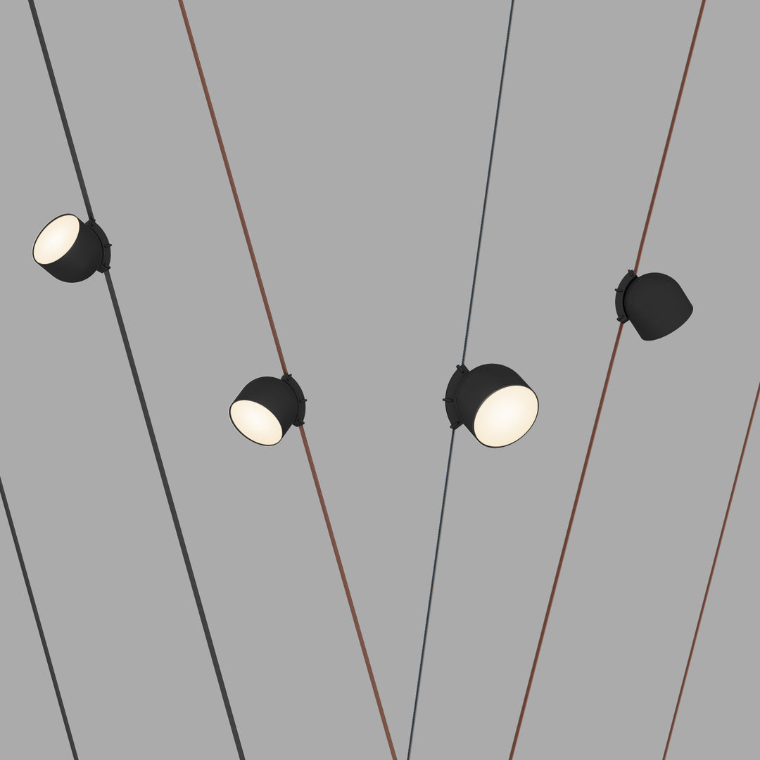Spot negru LED Belty Spot 12W 3000K