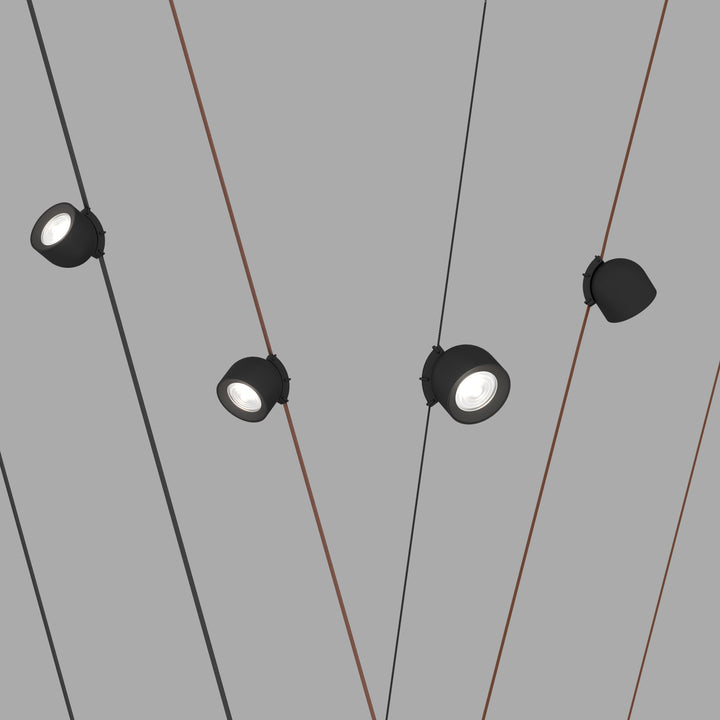 Spot pe șină BELTY – 12W, 4000K, negru Cree led