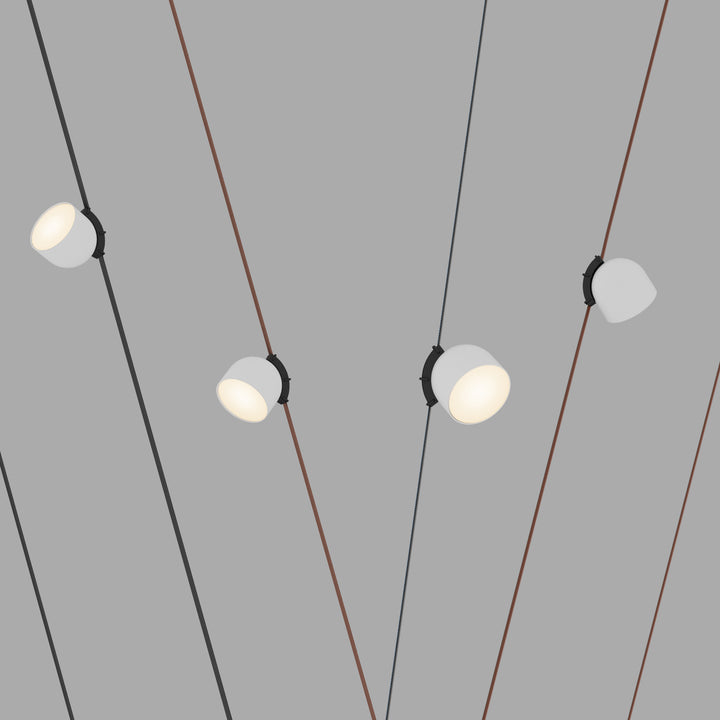 Spot alb LED Belty Spot 12W 3000K