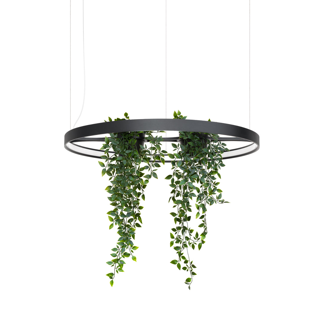 Lustra Rio BIO 78 finisaj negru LED 3000K