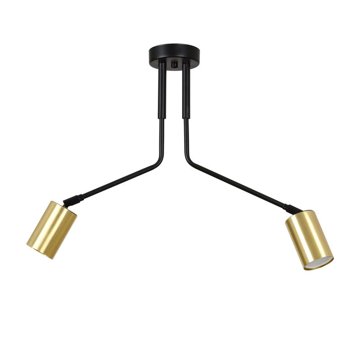 Lustra neagra VERNO 2