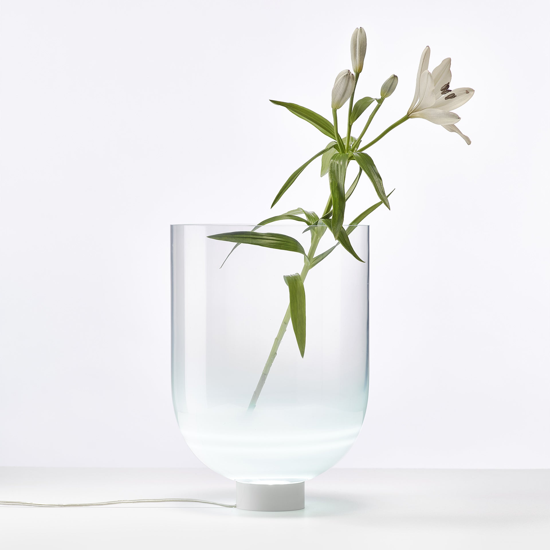 Vaza pentru flori iluminata mare by Dechem