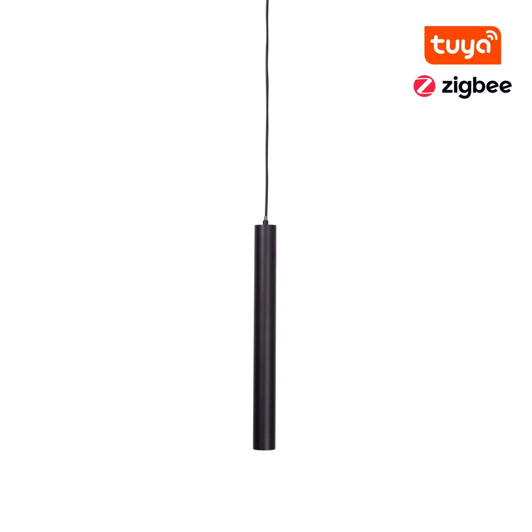Pendul magnetic Zigbee Maxlight M0012Z