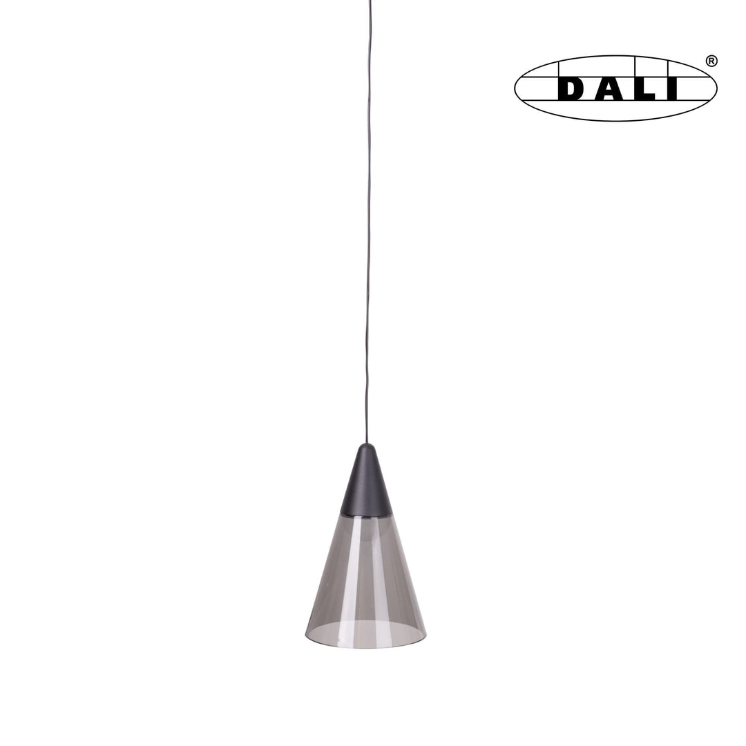 Pendul magnetic Shade Dali Maxlight M0015D