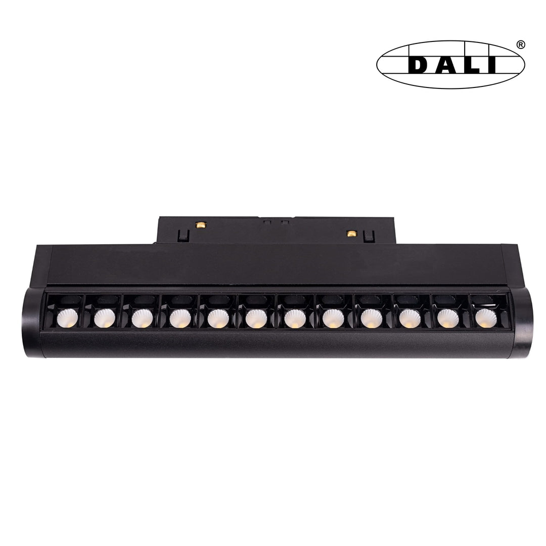 Spot magnetic Foldable Grid Dali Maxlight M0019D