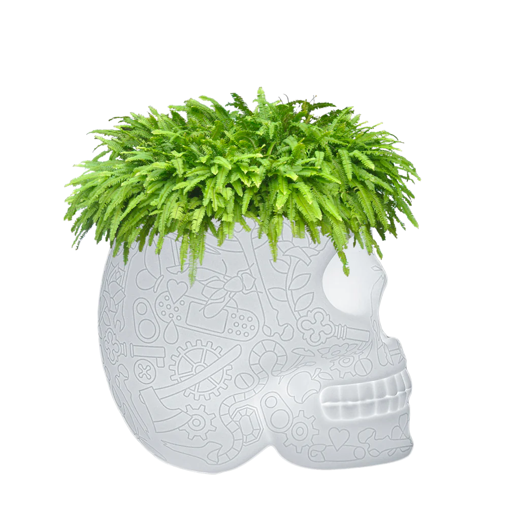 Lampa-suport de plante sau cooler pentru sampanie by Qeeboo