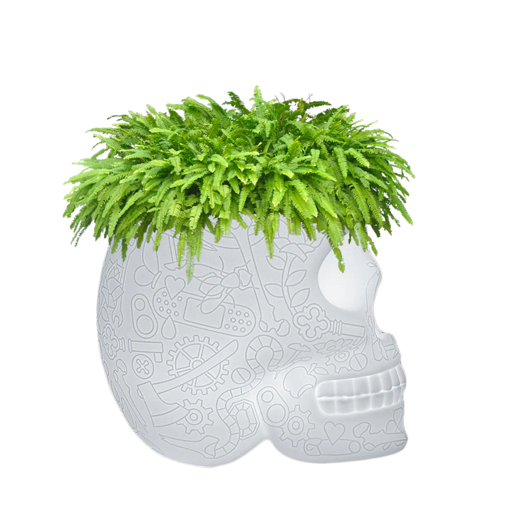 Lampa-suport de plante sau cooler pentru sampanie by Qeeboo