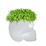 Lampa-suport de plante sau cooler pentru sampanie by Qeeboo