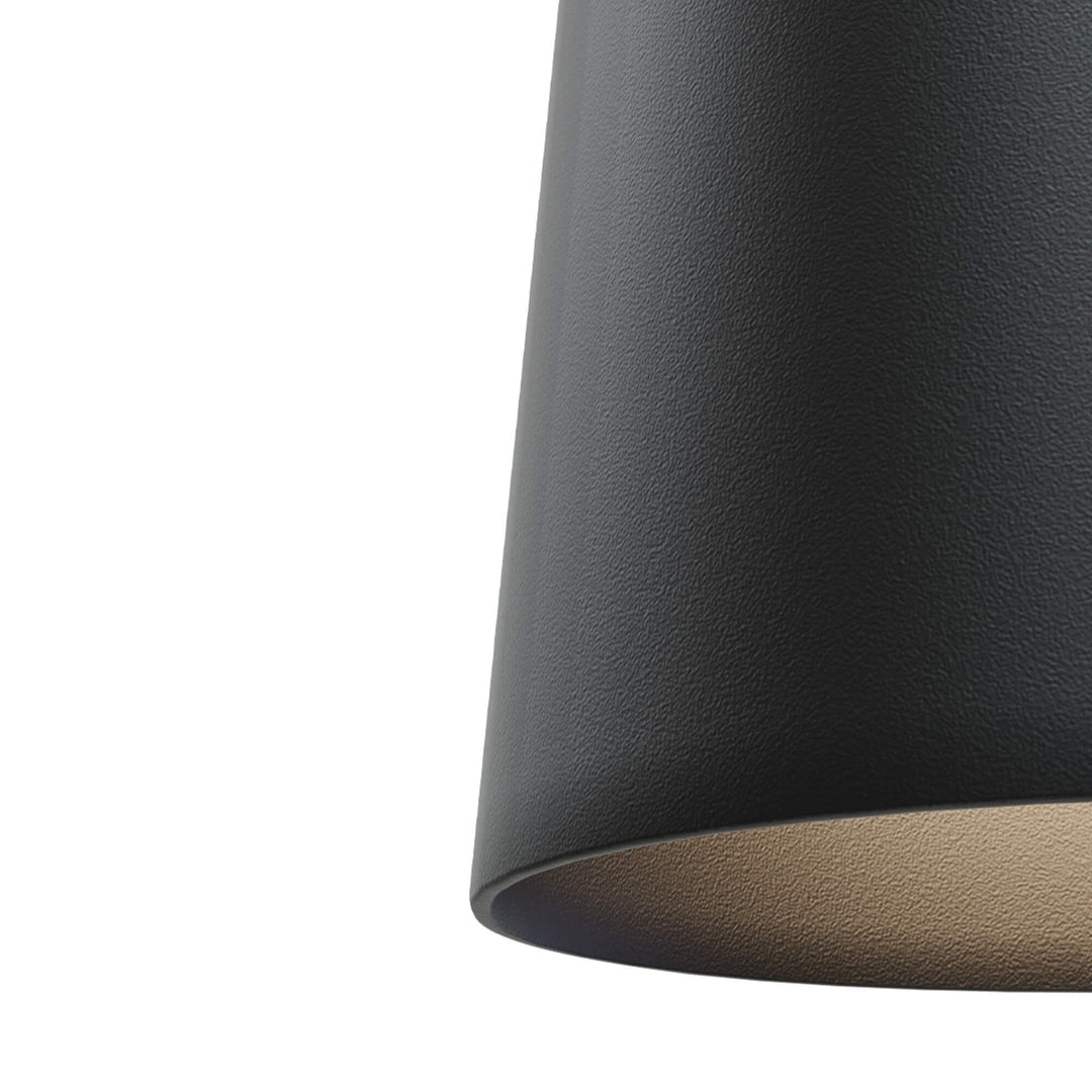 Pendul negru pentru sina 3F Maxlight S0018 Tulipe