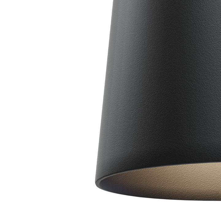 Pendul negru pentru sina 3F Maxlight S0018 Tulipe