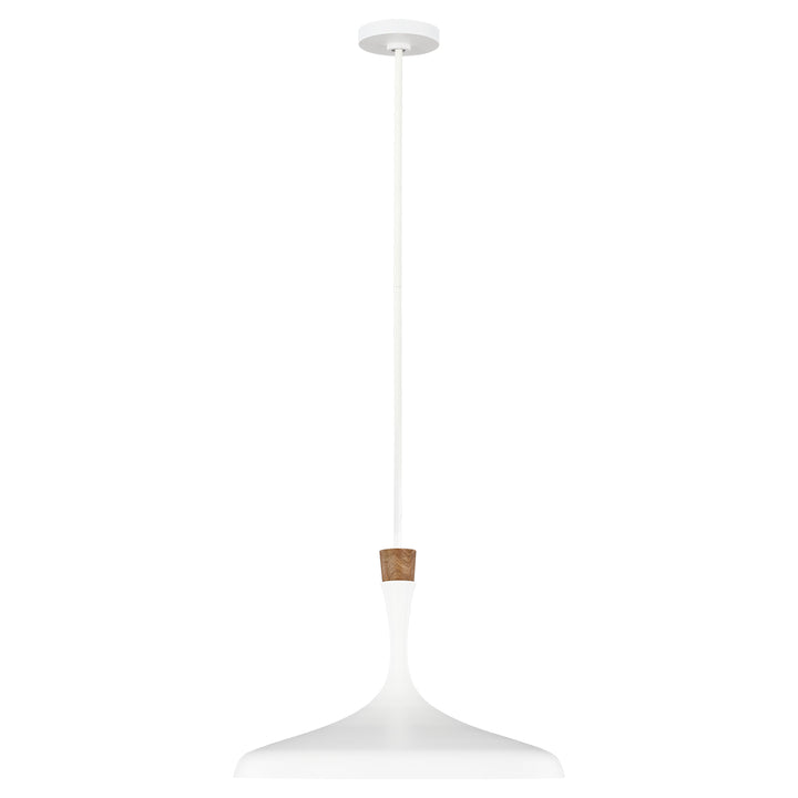 Pendul Darwin 1 lt Matte alb cu Wood accent