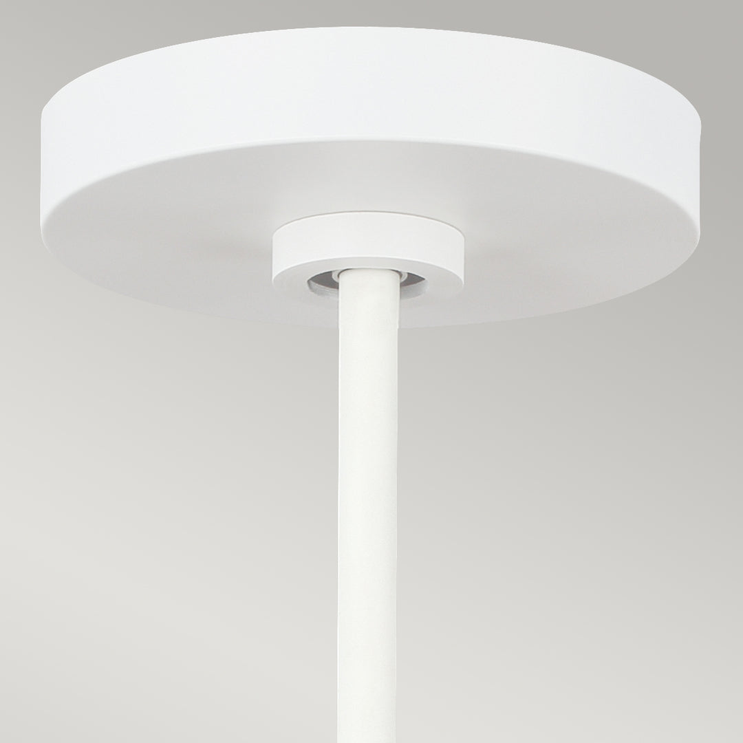 Pendul Darwin 1 lt Matte alb cu Wood accent