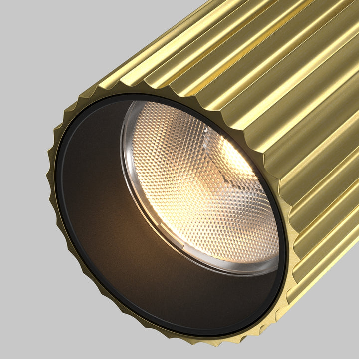 Spot pentru sina Trinity Calipso TR250-30W3K-BS