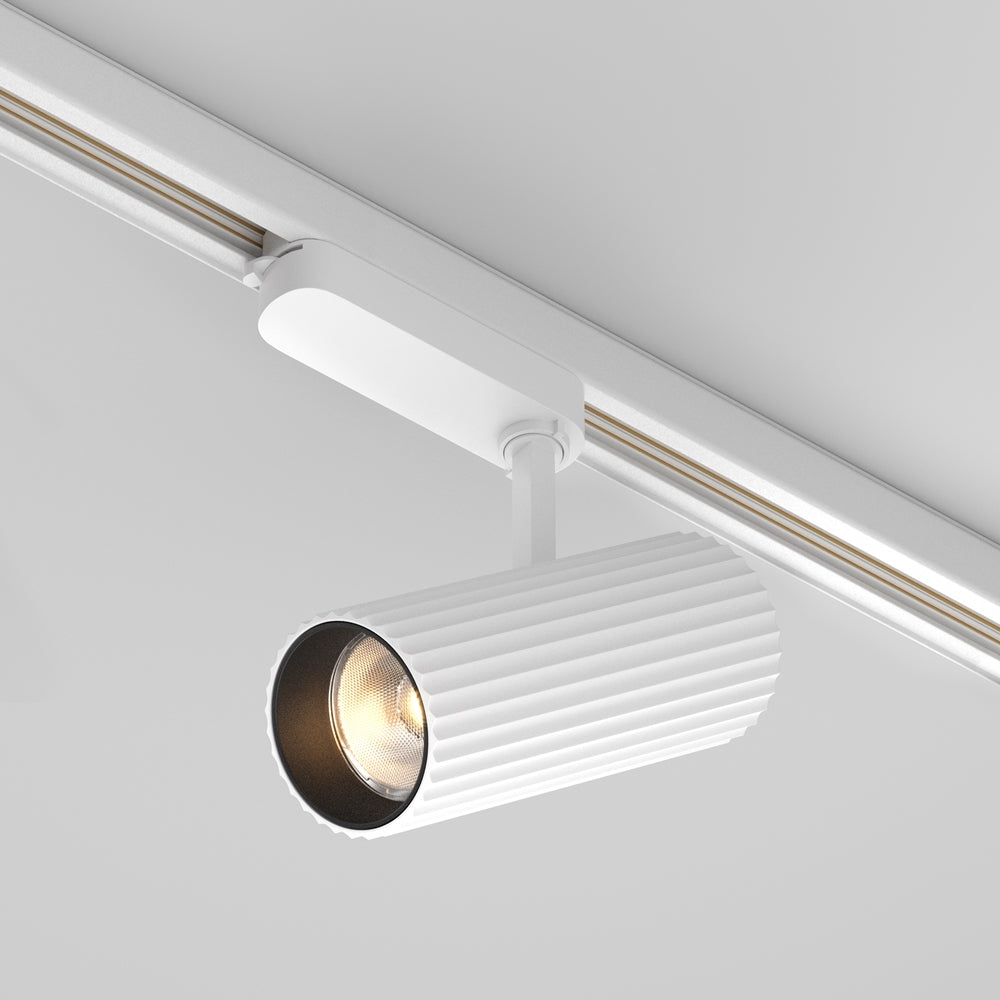 Spot pentru sina Trinity Calipso TR250-30W3K-W