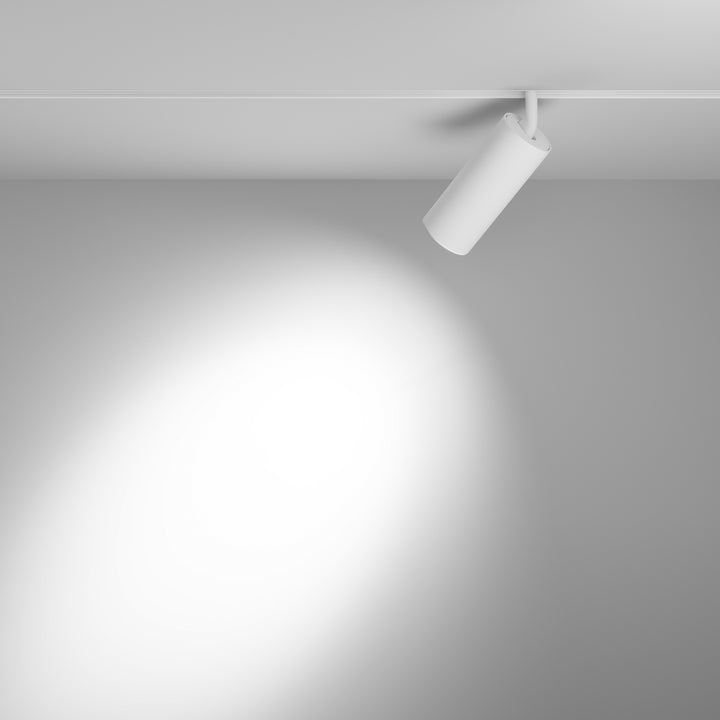 Spot pentru sina Exility Focus LED TR032-4-20WTW-S-DD2-W