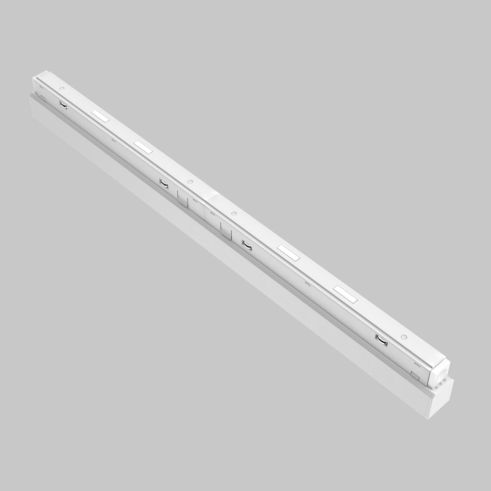 Spot pentru sina Exility Points TR031-4-24WTW-DD2-W