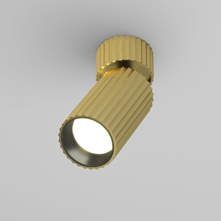 Spot aplicat reglabil Calipso C108CL-01-GU10-BS