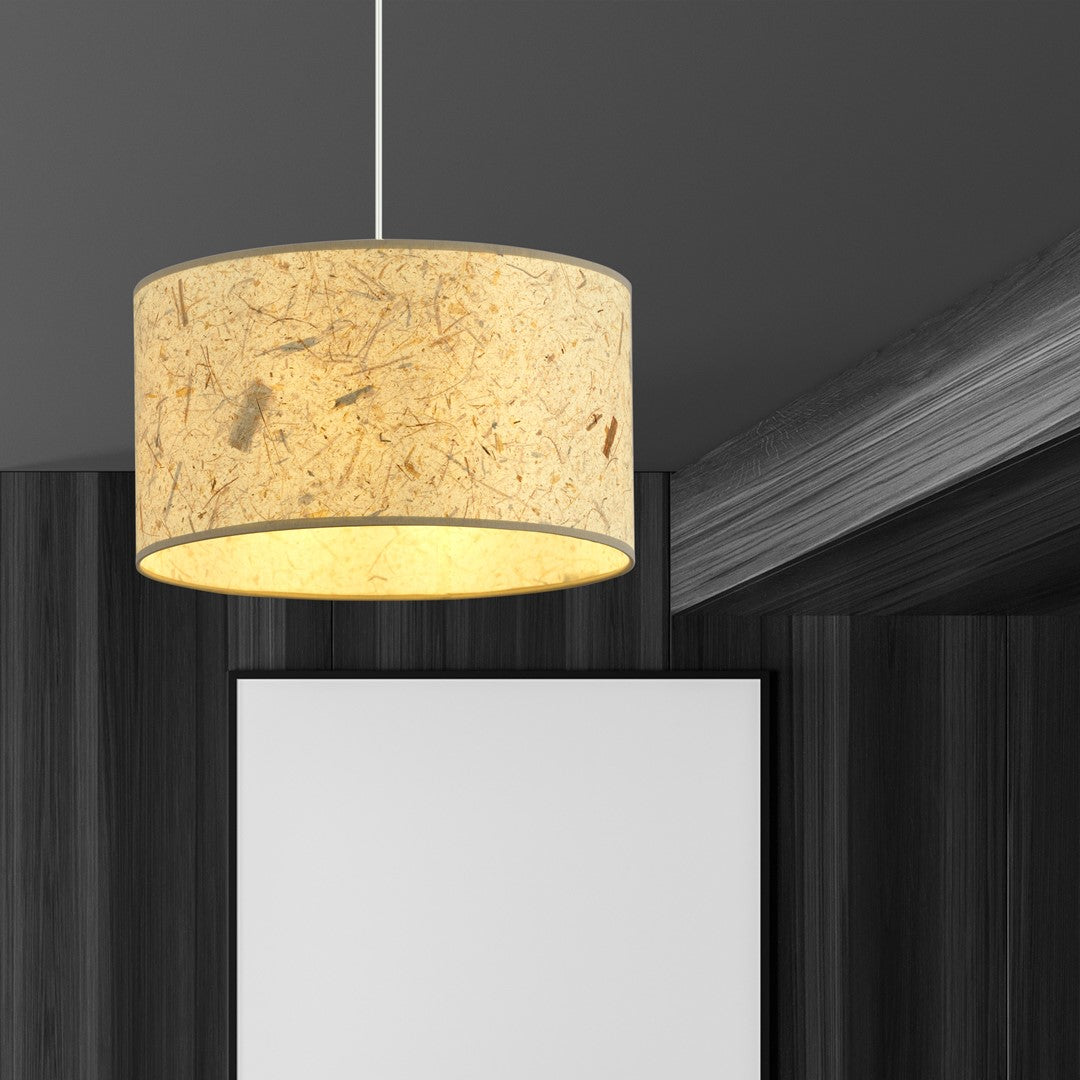 Lustra suspendata ASTON 1 cu pluta