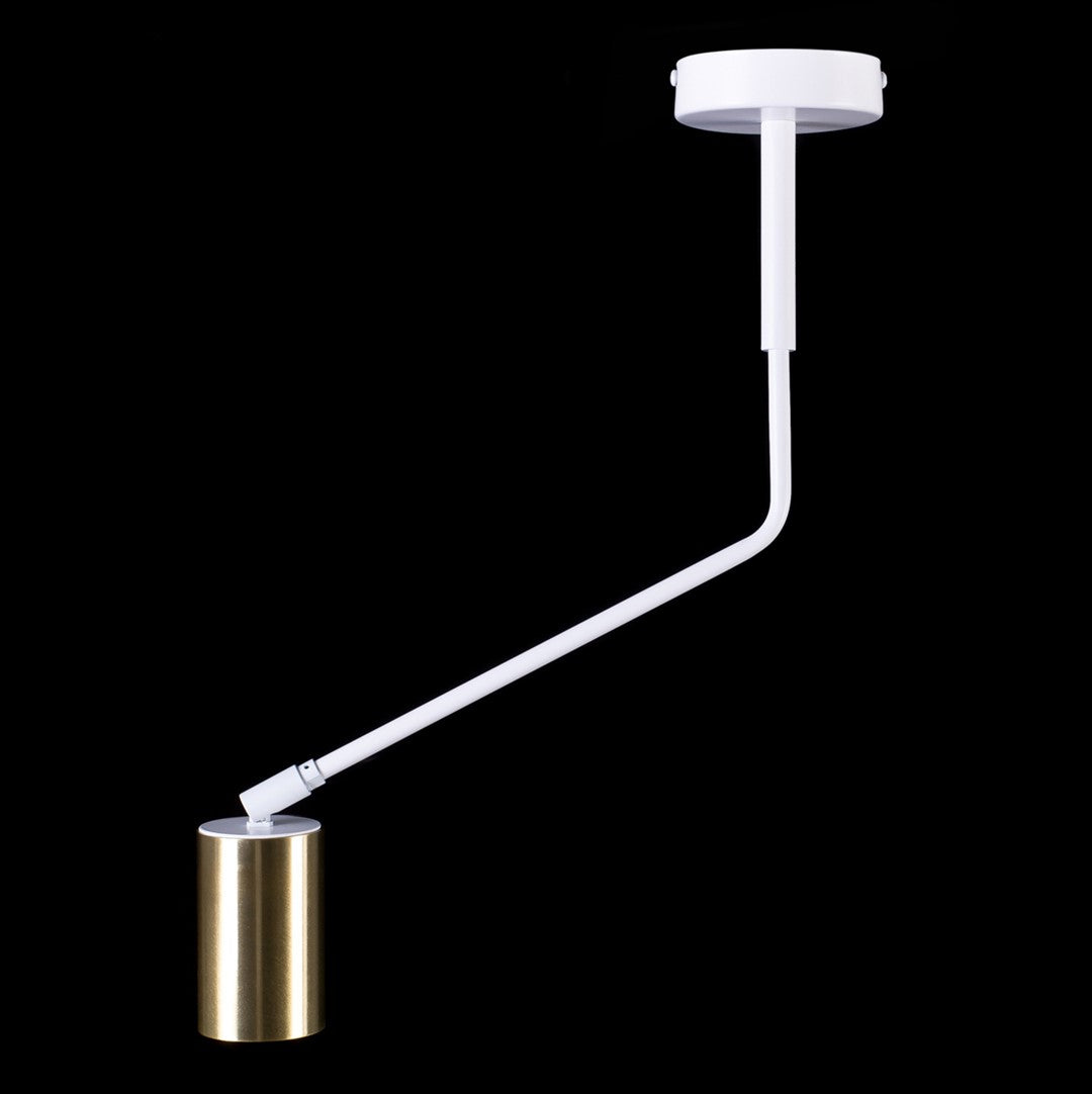 Lustra alba VERNO 1