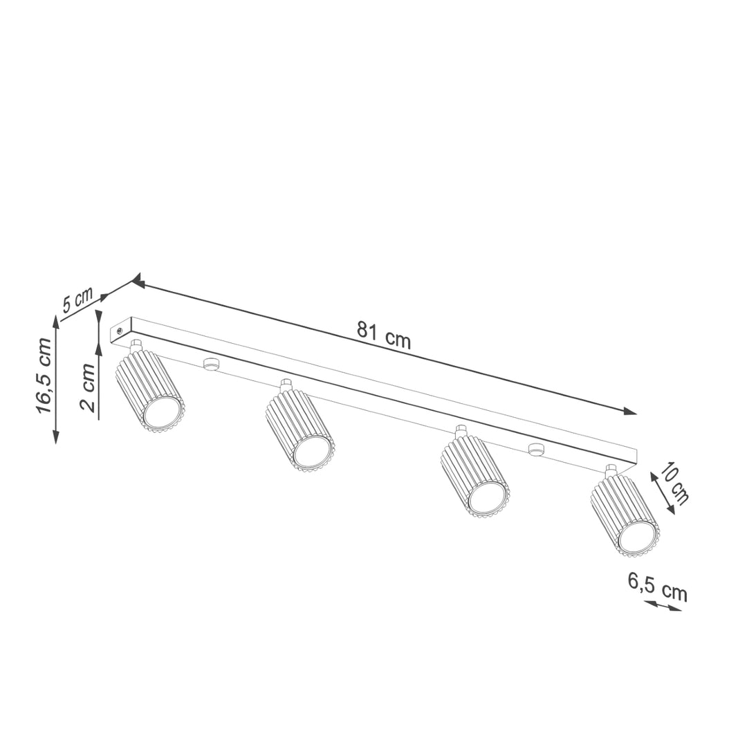 Plafoniera KARBON 4L negru