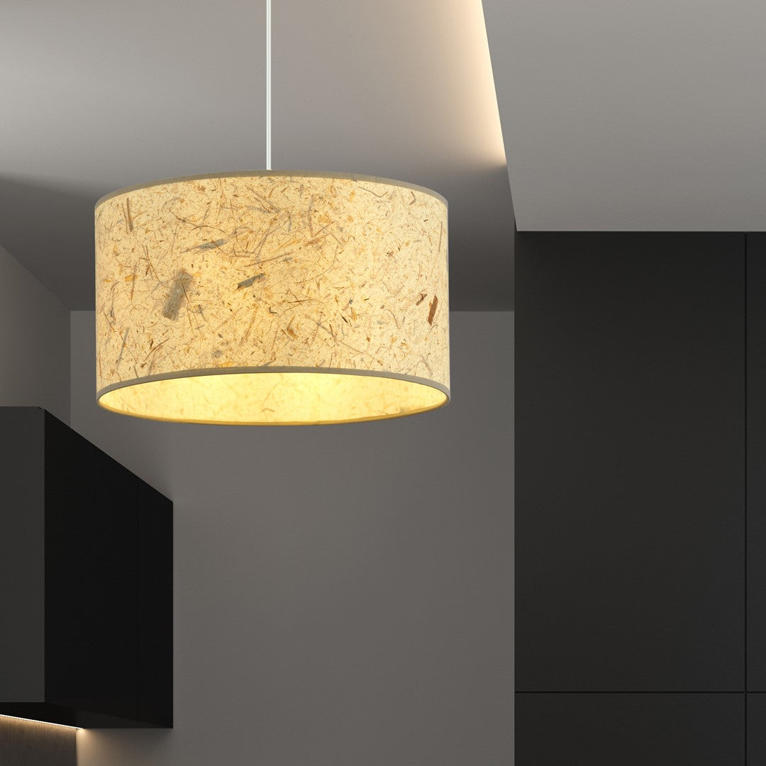 Lustra suspendata ASTON 1 cu pluta