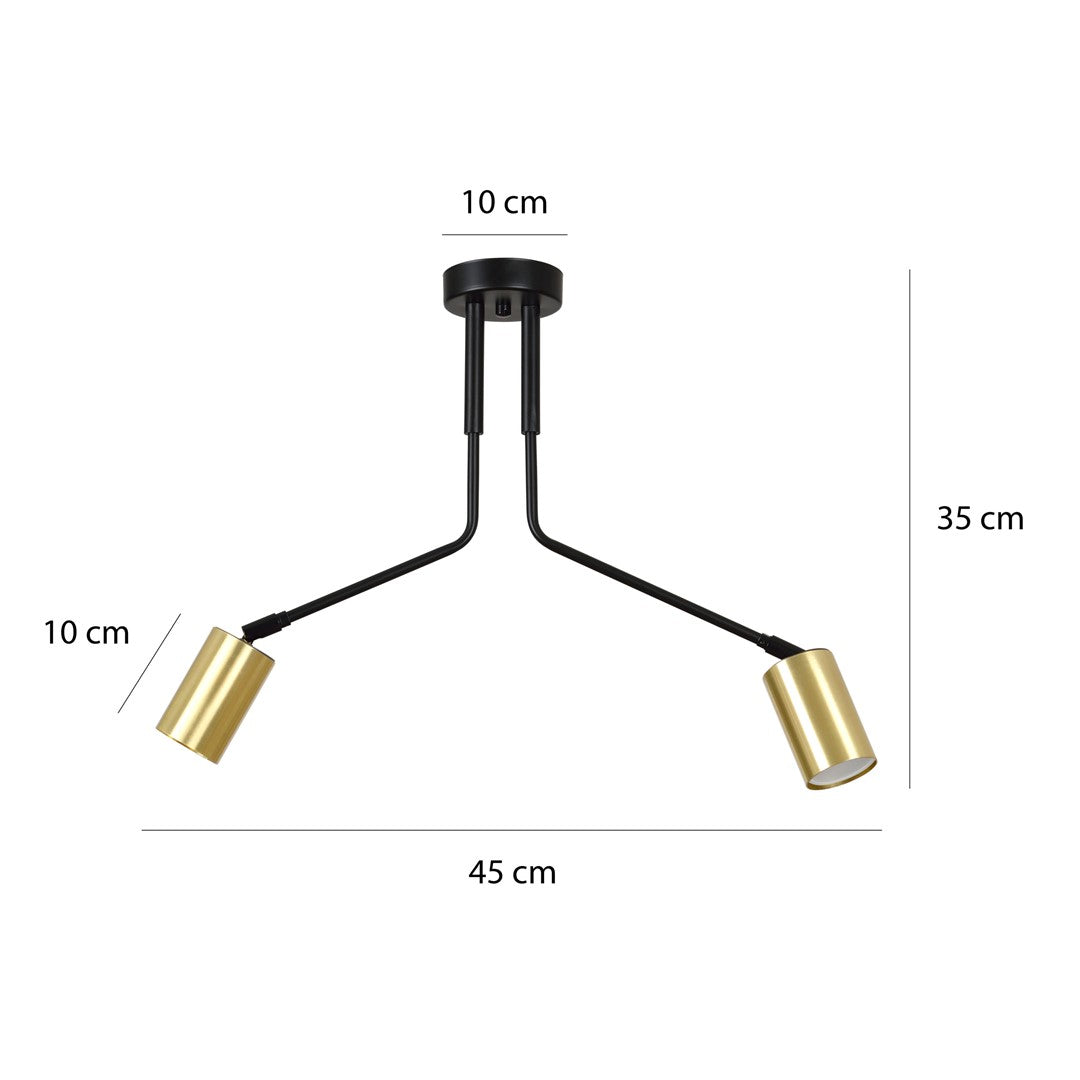 Lustra neagra VERNO 2